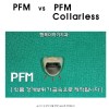 pfm file